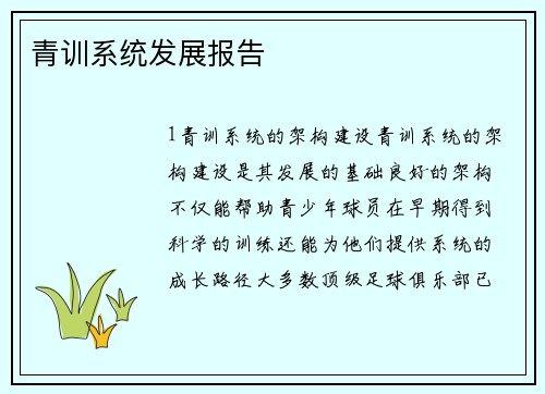 青训系统发展报告